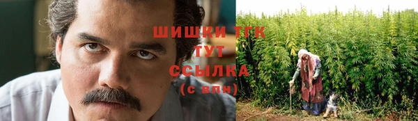 скорость Абаза