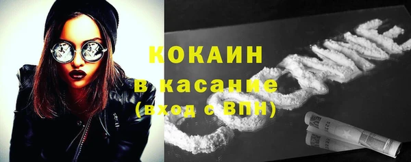 стаф Абинск