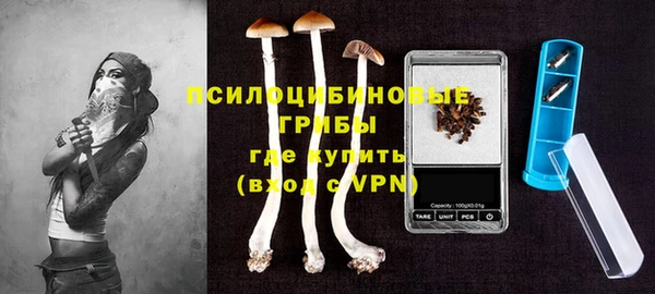 таблы Алексин